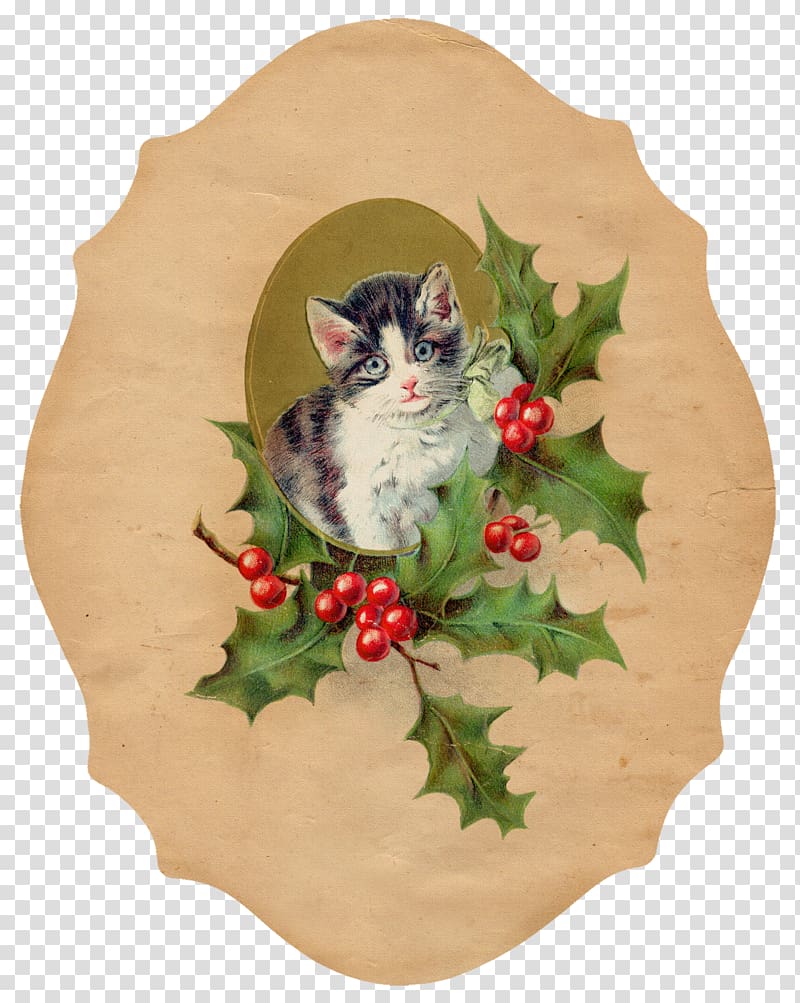 Cat Kitten Christmas ornament , vintage label transparent background PNG clipart