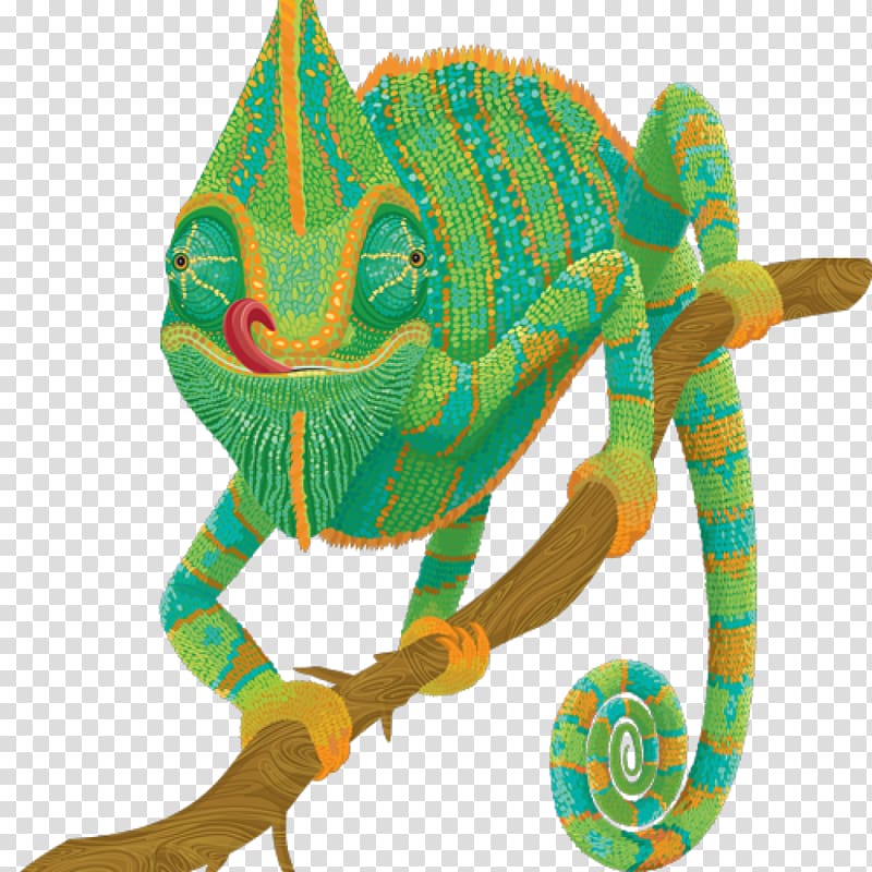 Chameleons Lizard , chameleon transparent background PNG clipart