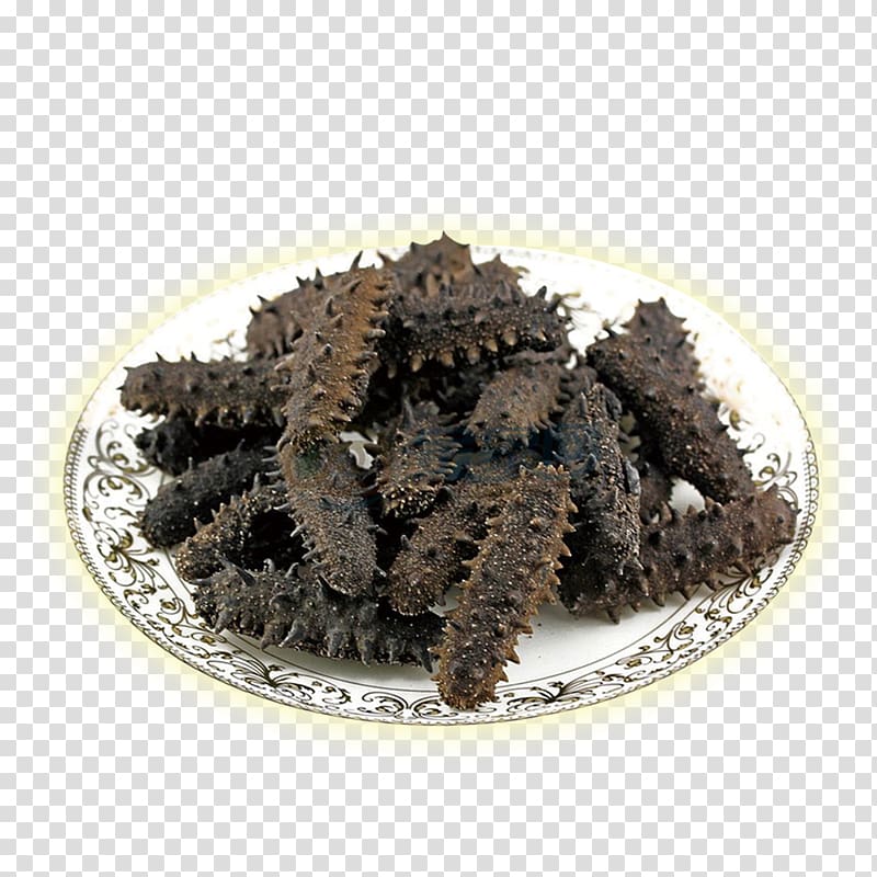 Sea cucumber as food Computer file, A sea cucumber transparent background PNG clipart