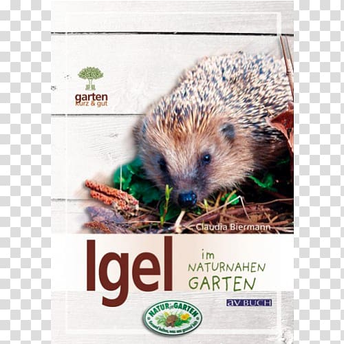 Domesticated hedgehog Igel im naturnahen Garten Porcupine Small Animal Supply, hedgehog transparent background PNG clipart