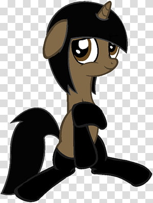 Cat Pony Horse , Cat transparent background PNG clipart thumbnail