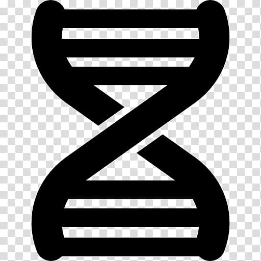 DNA Nucleic acid double helix Molecular Structure of Nucleic Acids: A Structure for Deoxyribose Nucleic Acid, Basic Helixloophelix transparent background PNG clipart