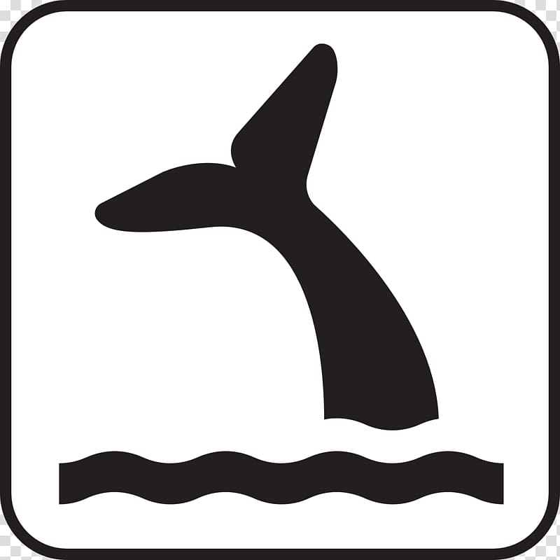 Sperm whale Tail Killer whale , signboard transparent background PNG clipart