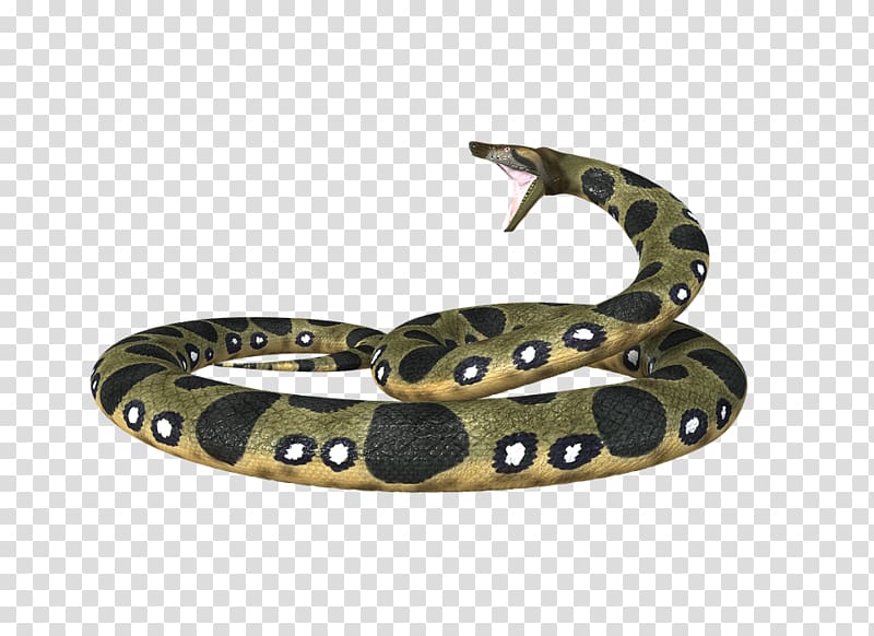 brown, white, and black python illustration, Anaconda transparent background PNG clipart