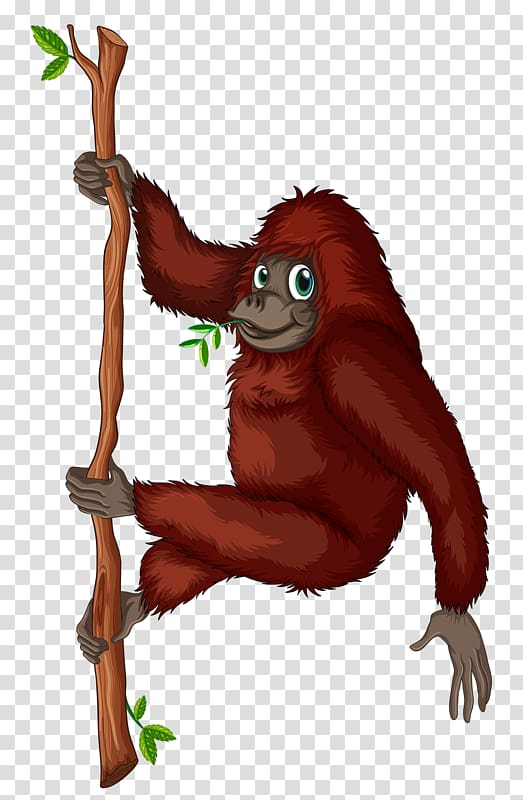 Orangutan King Louie , orangutan transparent background PNG clipart