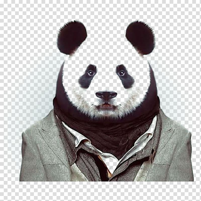 Zoo Portraits Fashion Animal, panda transparent background PNG clipart