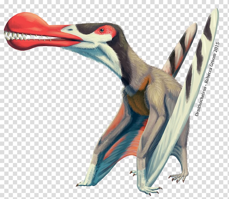 Ornithocheirus Pterosaurs Quetzalcoatlus Dinosaur Anhanguera, dinosaur transparent background PNG clipart