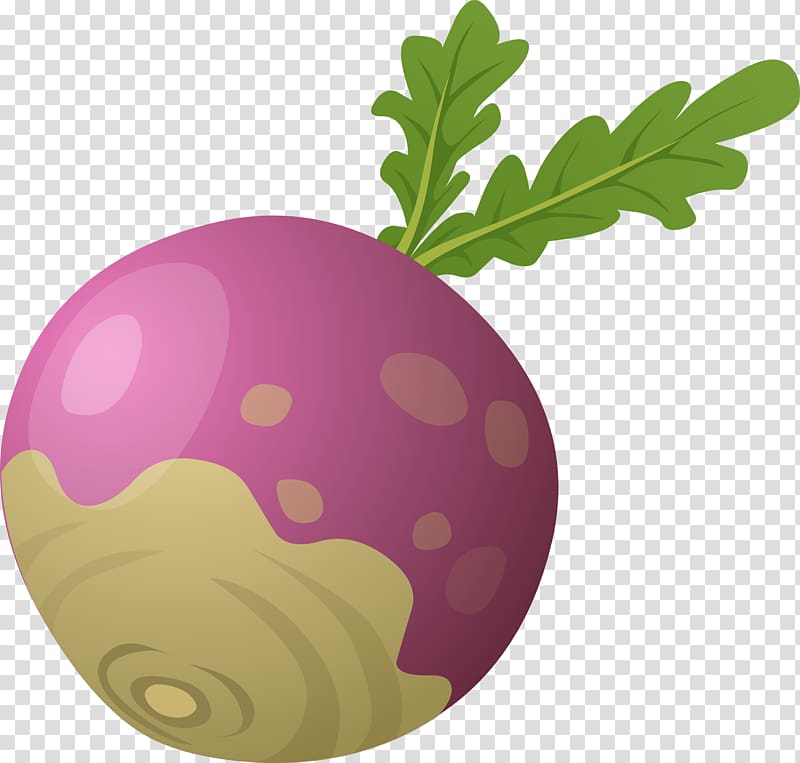 The Gigantic Turnip Vegetable , beet transparent background PNG clipart