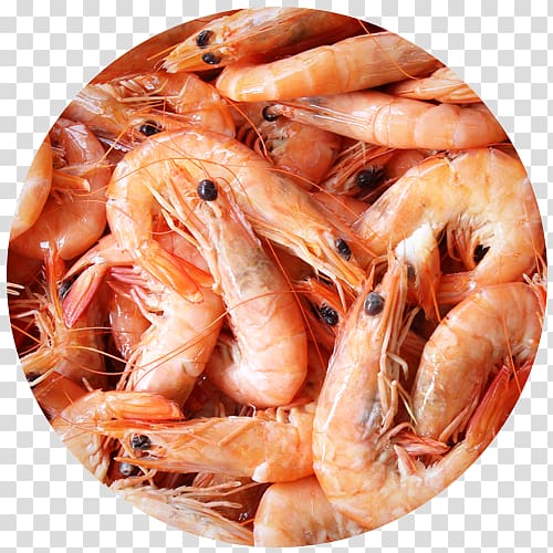Prawns Caridea Restaurante Senhor Peixe Shrimp Seafood restaurant, Shrimp transparent background PNG clipart