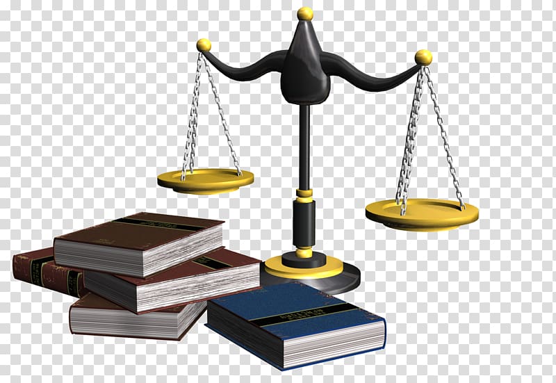 Precept Social norm Statute Juridical person Law, lawyer transparent background PNG clipart