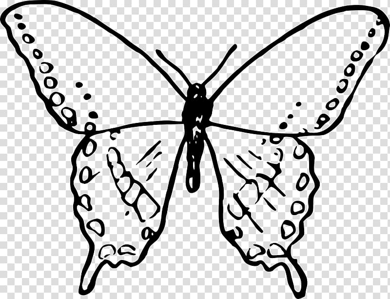 Drawing Painting , dream butterfly transparent background PNG clipart
