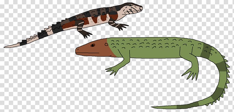 Common Iguanas Lizard Reptile Crocodile Gecko, northern caiman lizard transparent background PNG clipart