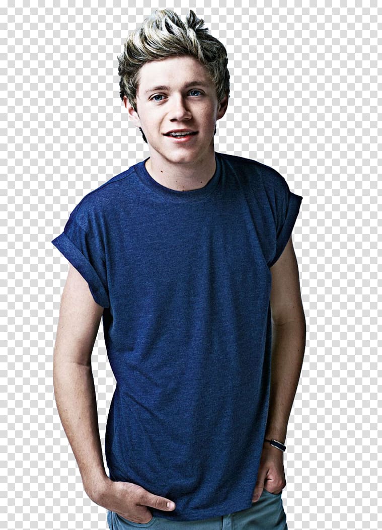 Niall Horan Mullingar The X Factor, others transparent background PNG clipart