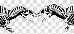 Acrocanthosaurus Carcharodontosaurus Concavenator Marshosaurus Velociraptor, tyrannosaurus rex transparent background PNG clipart thumbnail