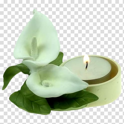 Candle Arum-lily Flower , Calla lily candle transparent background PNG clipart