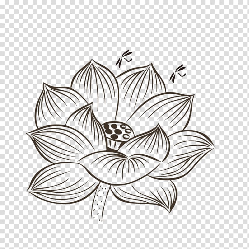 Nelumbo nucifera Drawing Black and white painting, Hand-painted lotus transparent background PNG clipart