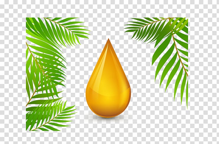 brown drops with leaves illustration, Roundtable on Sustainable Palm Oil Olive oil, golden droplets transparent background PNG clipart