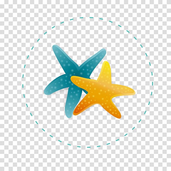 Starfish Euclidean , starfish transparent background PNG clipart