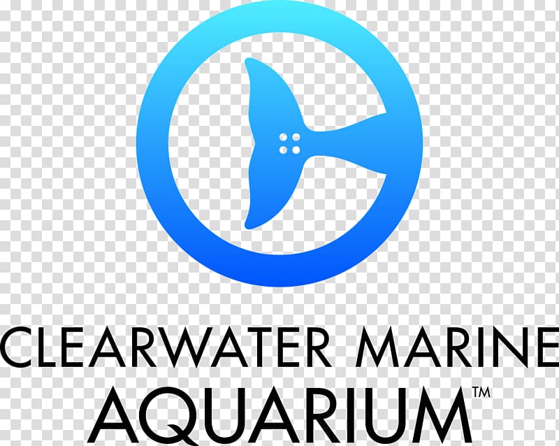 Clearwater Marine Aquarium Winter The Dolphin, winter transparent background PNG clipart
