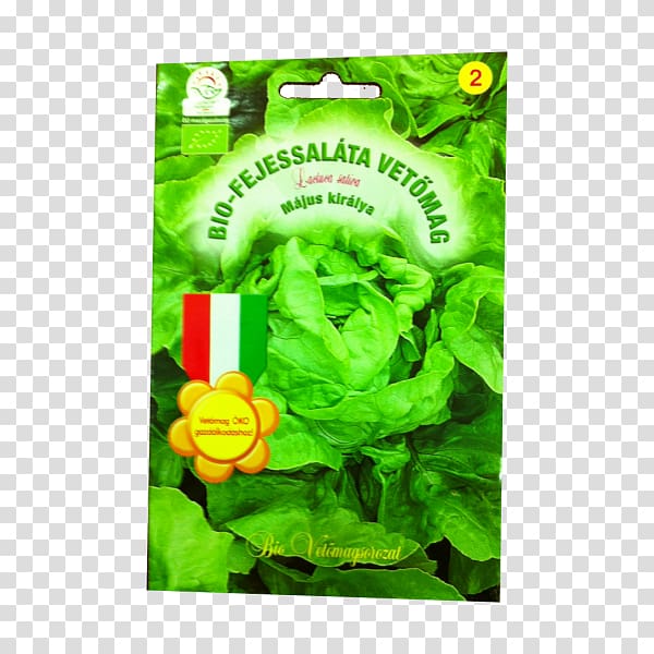 Bok choy Leaf vegetable Főzelék Plant stem, bok choy transparent background PNG clipart