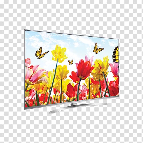 4K resolution Ultra-high-definition television Television set Smart TV, lg transparent background PNG clipart