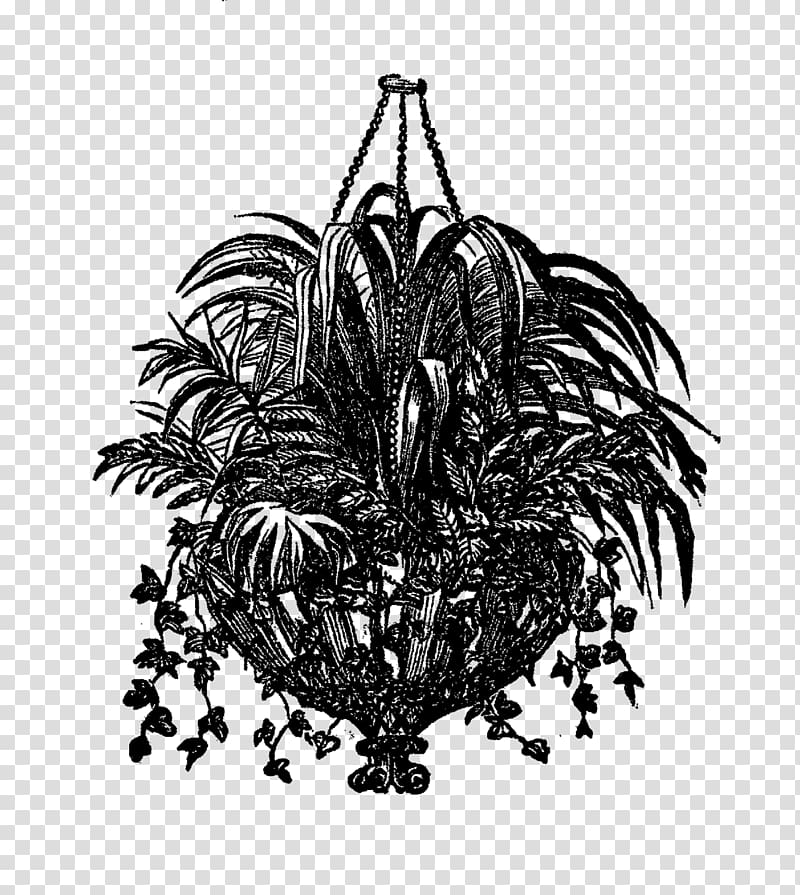 Drawing Hanging basket Monochrome , design transparent background PNG clipart