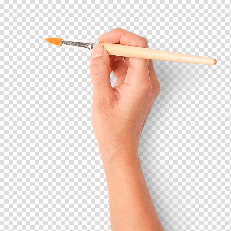 Upper limb, Brush and arm transparent background PNG clipart