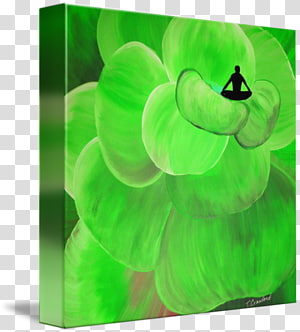 Leaf Green Petal, Leaf transparent background PNG clipart thumbnail
