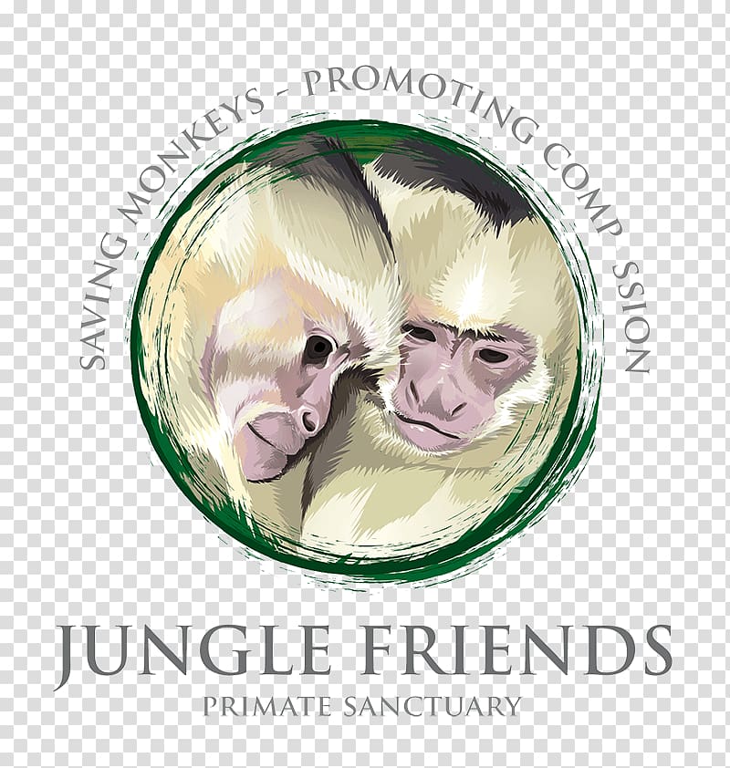 Capuchin monkey Jungle Friends Primate Sn Center White-headed capuchin Ape, monkey transparent background PNG clipart