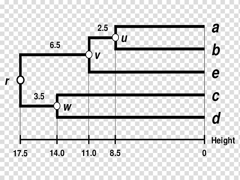 DNA sequencing Nucleotide /m/02csf, Dendrogram transparent background PNG clipart