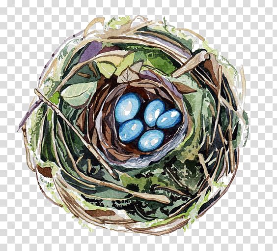 Beijing National Stadium Edible birds nest Drawing, Hand-painted nest transparent background PNG clipart