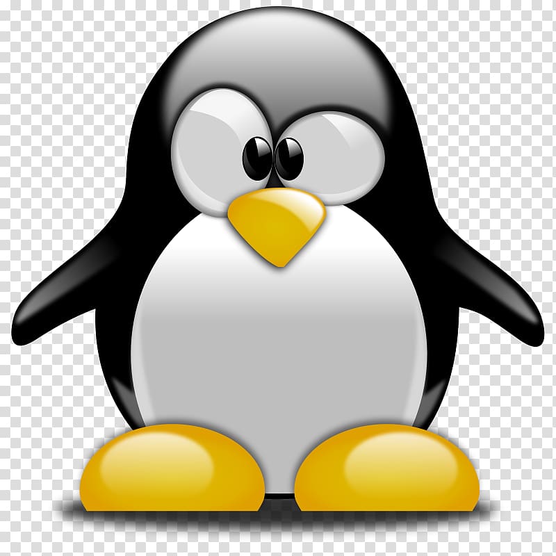 Free Download T Shirt Penguin Tuxedo T Shirt Transparent Background Png Clipart Hiclipart - how to get free penguin roblox