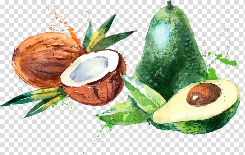 coconut and avocado illustration, Coconut water Coconut milk Watercolor painting, Coconut mango fruit material transparent background PNG clipart