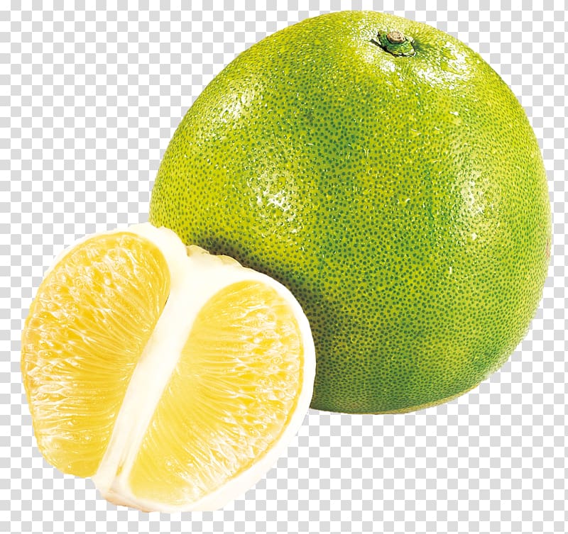 Persian lime Pomelo Grapefruit Lemon, grapefruit transparent background PNG clipart