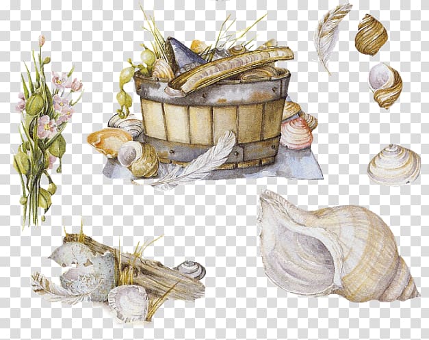 Seashell Molluscs Mollusc shell Cuisine Shellfish, seashell transparent background PNG clipart