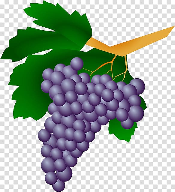White wine Grape Kyoho Straw wine, uvas transparent background PNG clipart
