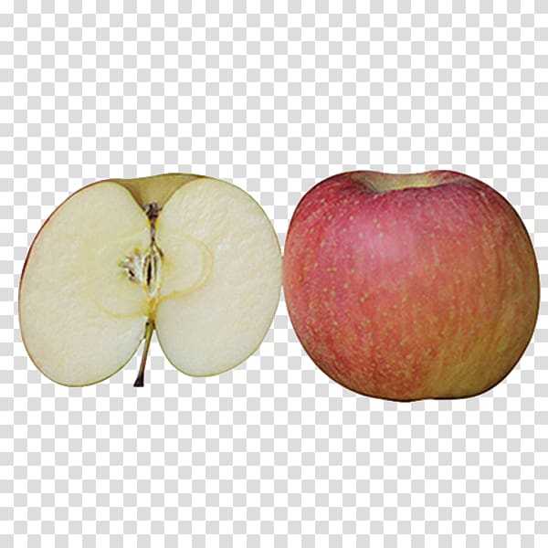 Apple Auglis , Apple cut in half transparent background PNG clipart