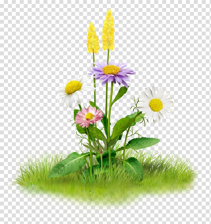 , cartoon grass transparent background PNG clipart