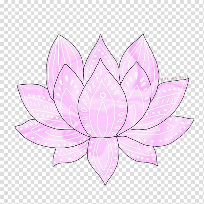 Petal Flower Transparency and translucency Drawing, lotus flower transparent background PNG clipart