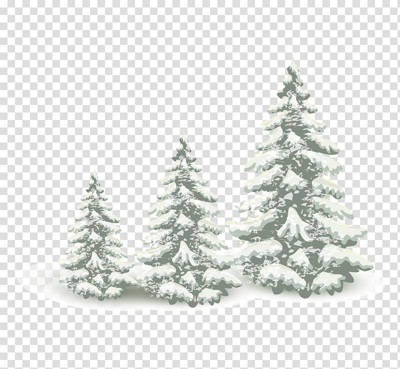 Falling snow pine tree transparent background PNG clipart