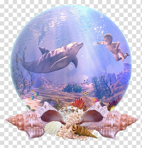 Dolphin Marine biology Coral reef fish Desktop , dolphin transparent background PNG clipart
