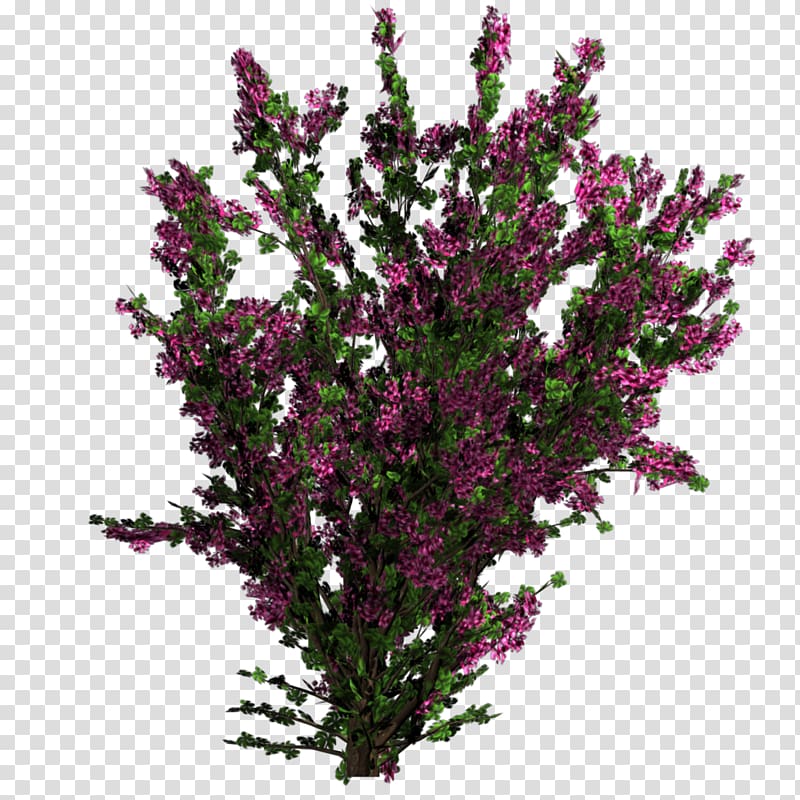 pink and green plants illustration, Flower Plant Tree Shrub Texture mapping, bushes transparent background PNG clipart
