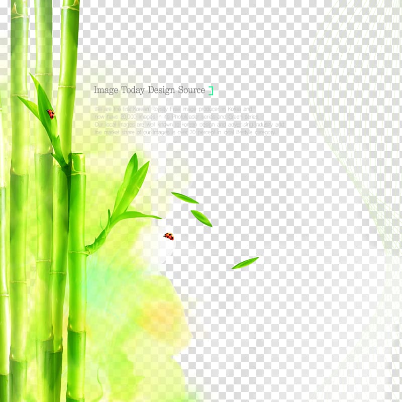 bamboo tree illustration, Graphic design Poster, Cosmetics poster bamboo background material transparent background PNG clipart