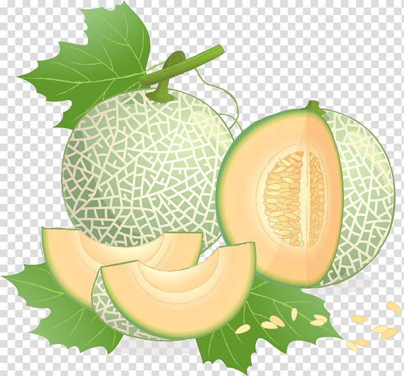 slices and whole melons, Cantaloupe Honeydew Galia melon, Snack melon transparent background PNG clipart