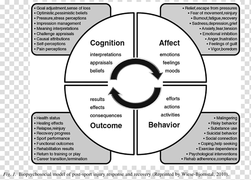 Biopsychosocial model Sports injury Sport psychology, Sixfactor Model Of Psychological Wellbeing transparent background PNG clipart