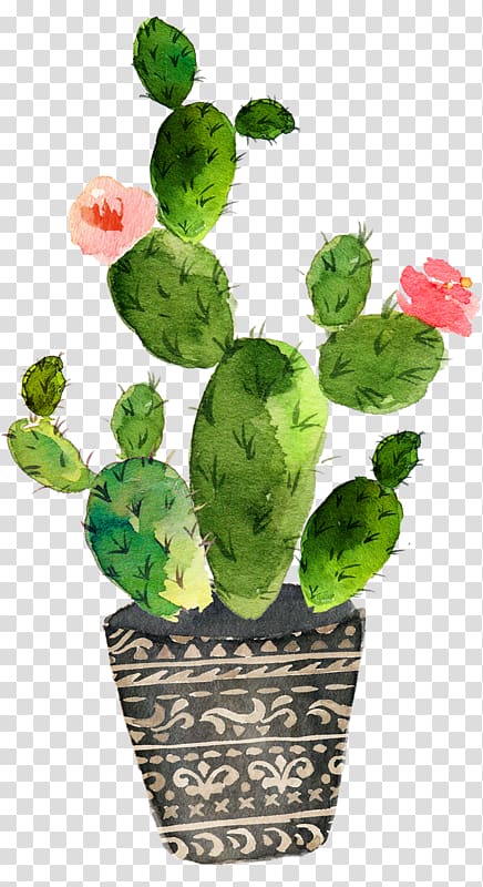 green cactus painting, Cactaceae Watercolor painting Prickly pear Art, painting transparent background PNG clipart