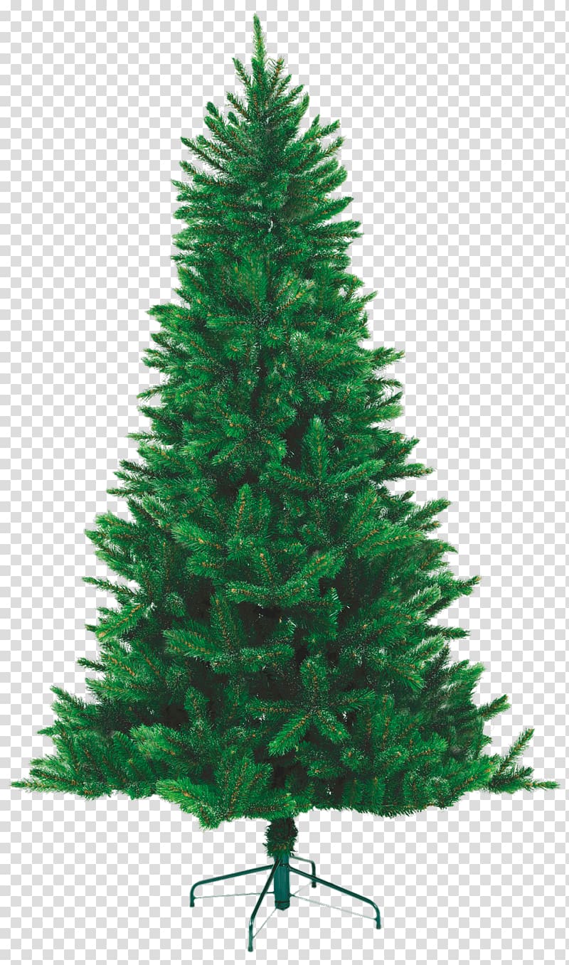 needle Norway spruce New Year tree Green Pine, fir-tree transparent background PNG clipart