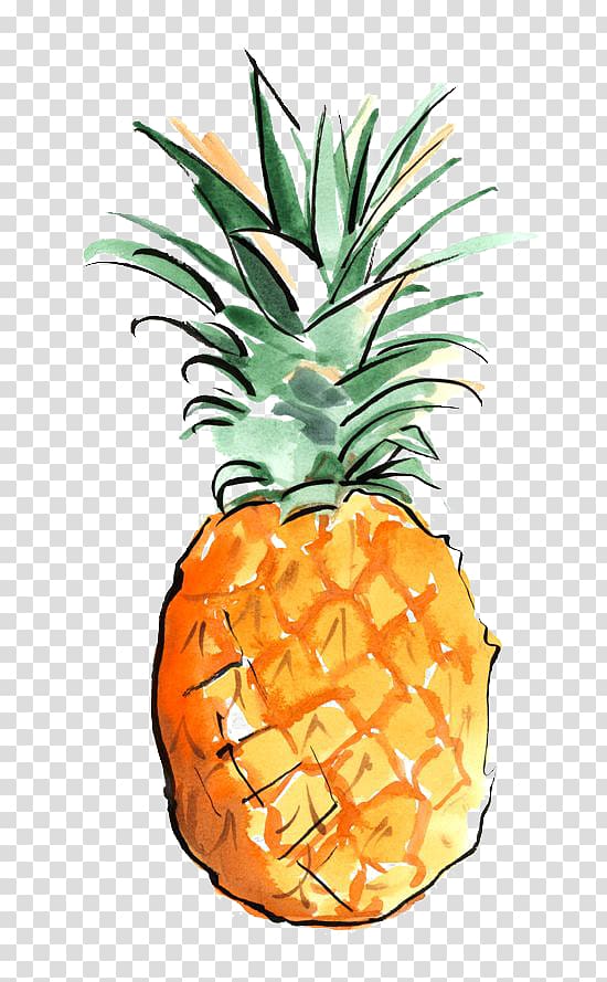 pineapple transparent background PNG clipart