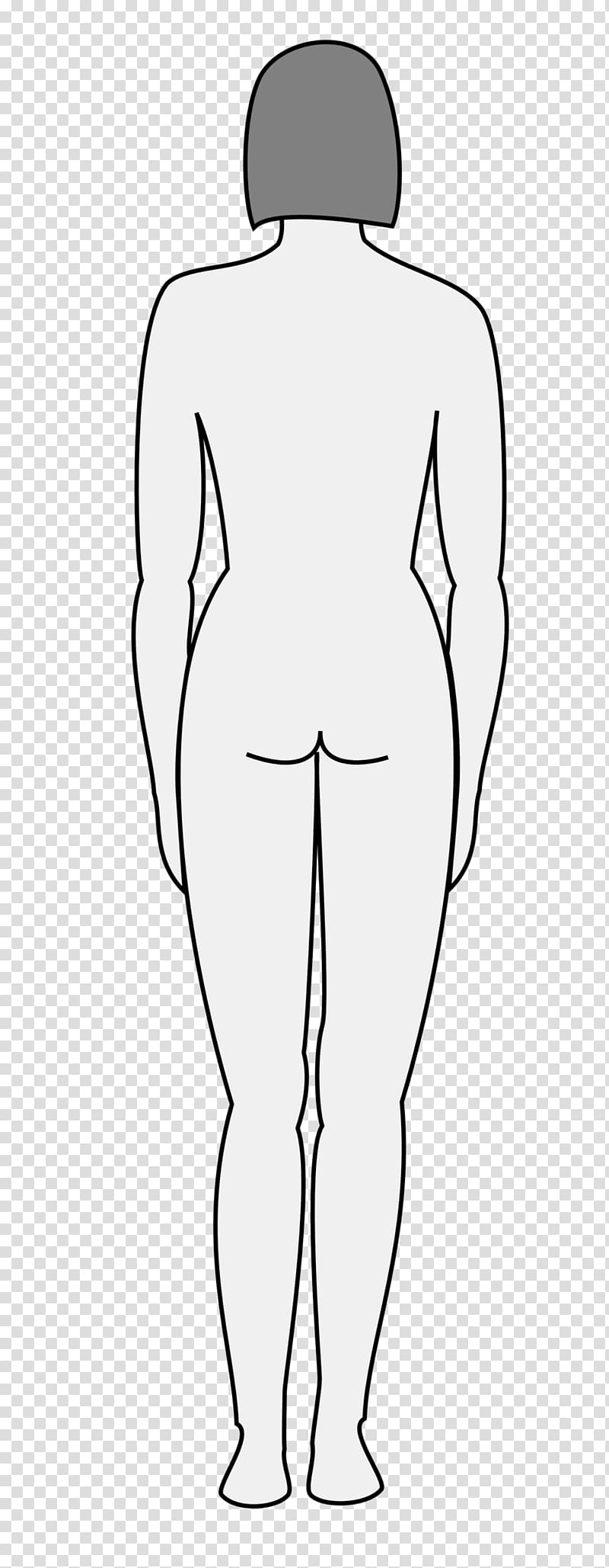 Female Woman Human body Silhouette, body transparent background PNG clipart