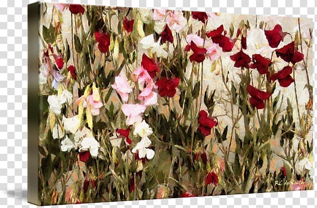 Floral design Gallery wrap Cut flowers Tulip, Sweet Pea transparent background PNG clipart